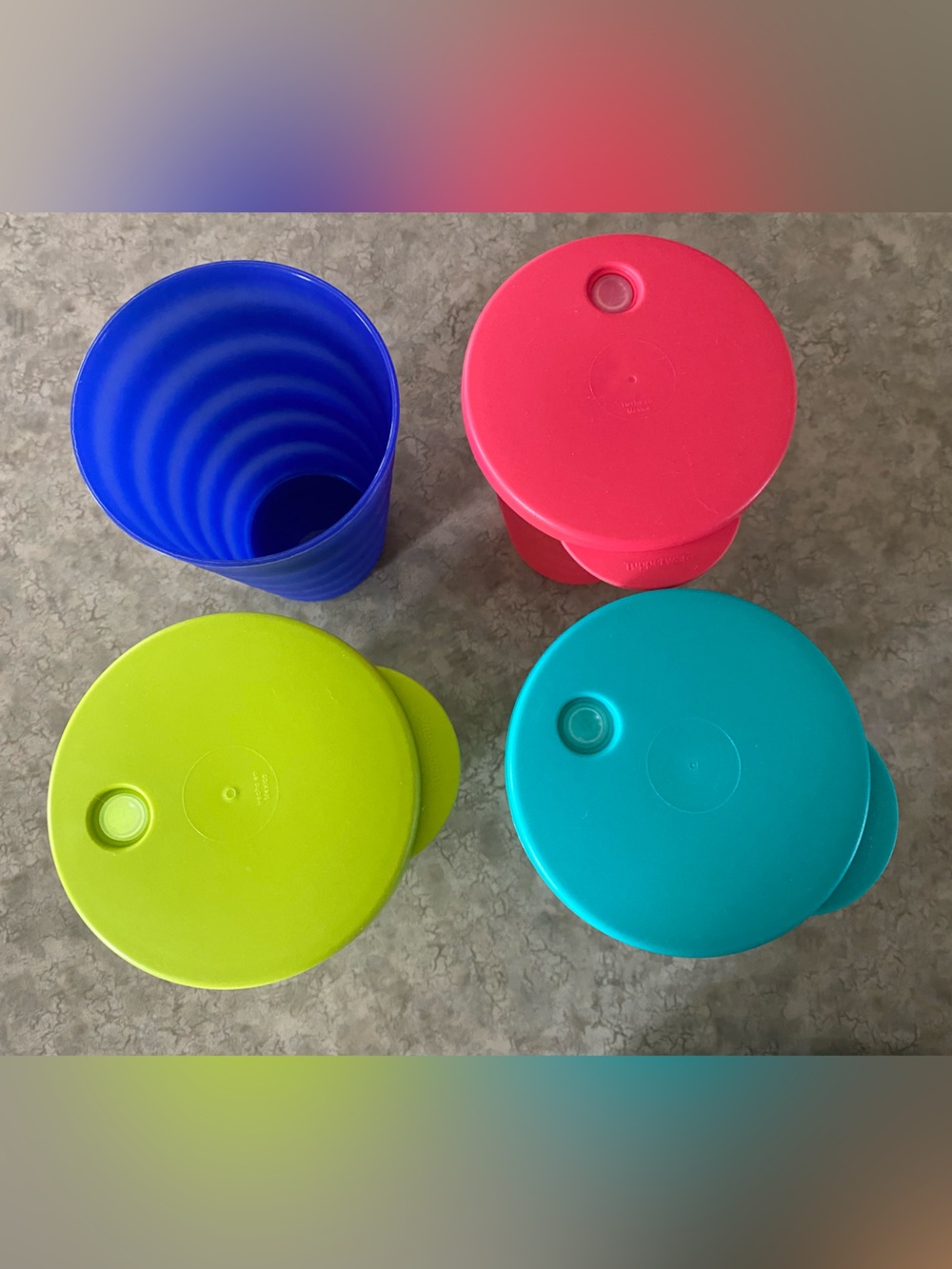 Tupperware Impressions Tumblers | 16 oz